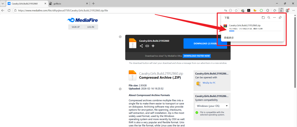 图片[7]-不限速下载——教程-steam花园.com