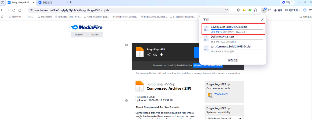 图片[6]-不限速下载——教程-steam花园.com